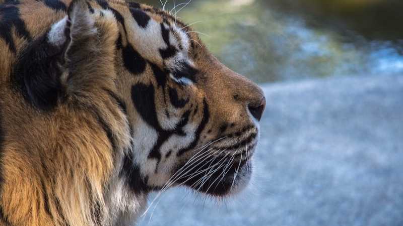 تراجع أرباح أيه.بي.بي السويسرية للصناعات الهندسية