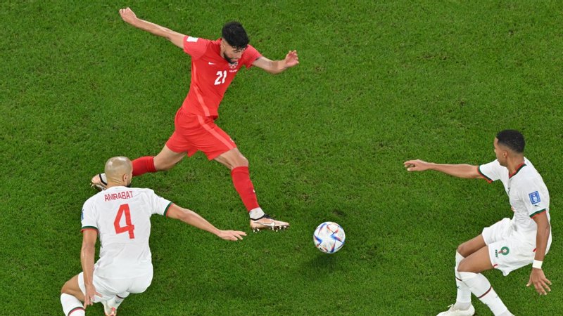 قطر ليست البلد المفضل لديمبلي بسبب خوفه من القطط الضالة